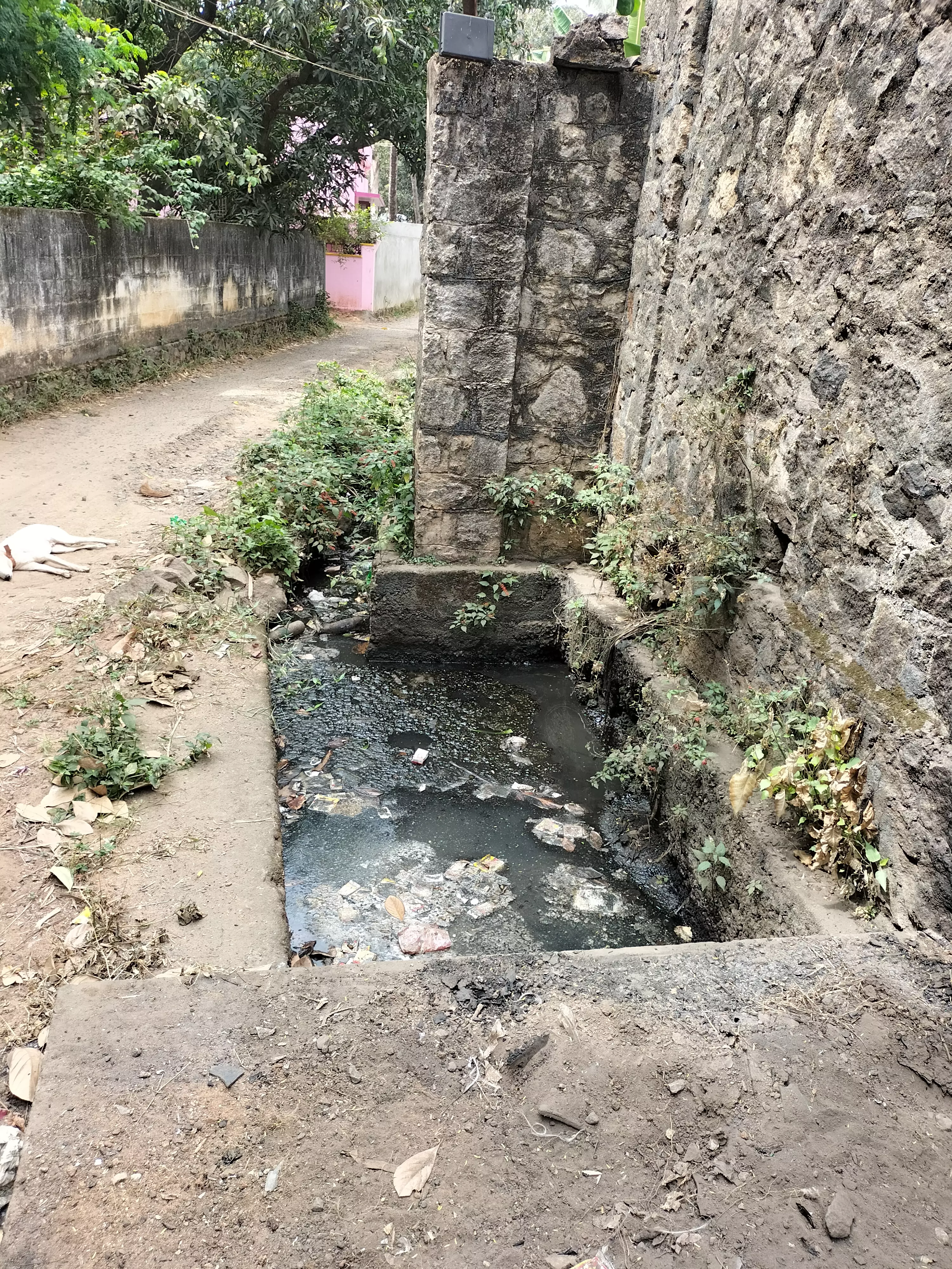 சுகாதார சீர்கேடு