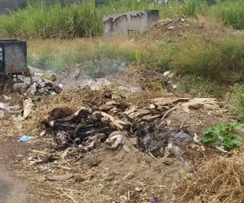 சுகாதார சீர்கேடு சுகாதார சீர்கேடு