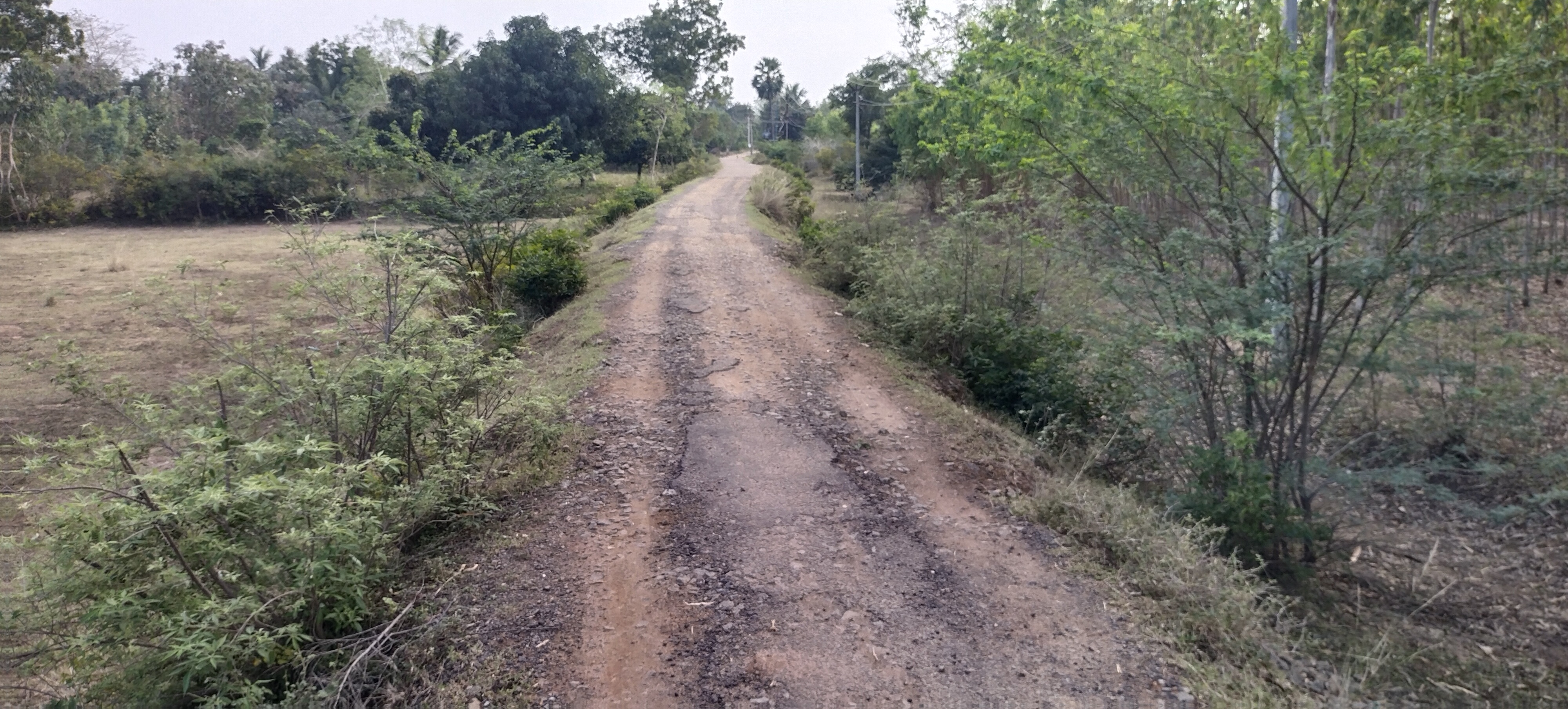 குண்டும், குழியுமான சாலை