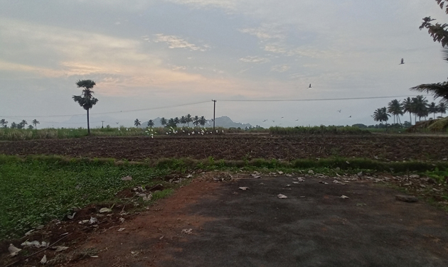 சாலை பணி மந்தம் சாலை பணி மந்தம்