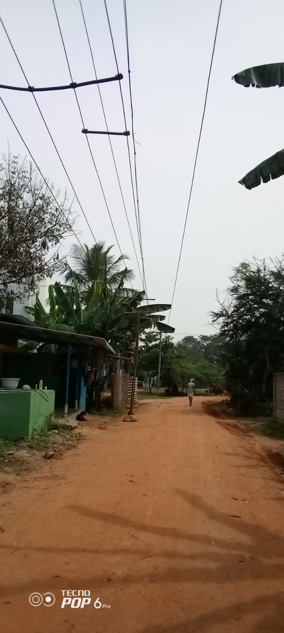 தாழ்வாக செல்லும் மின்கம்பிகள்