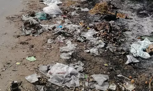 ரோட்டோரம் குப்பை ரோட்டோரம் குப்பை