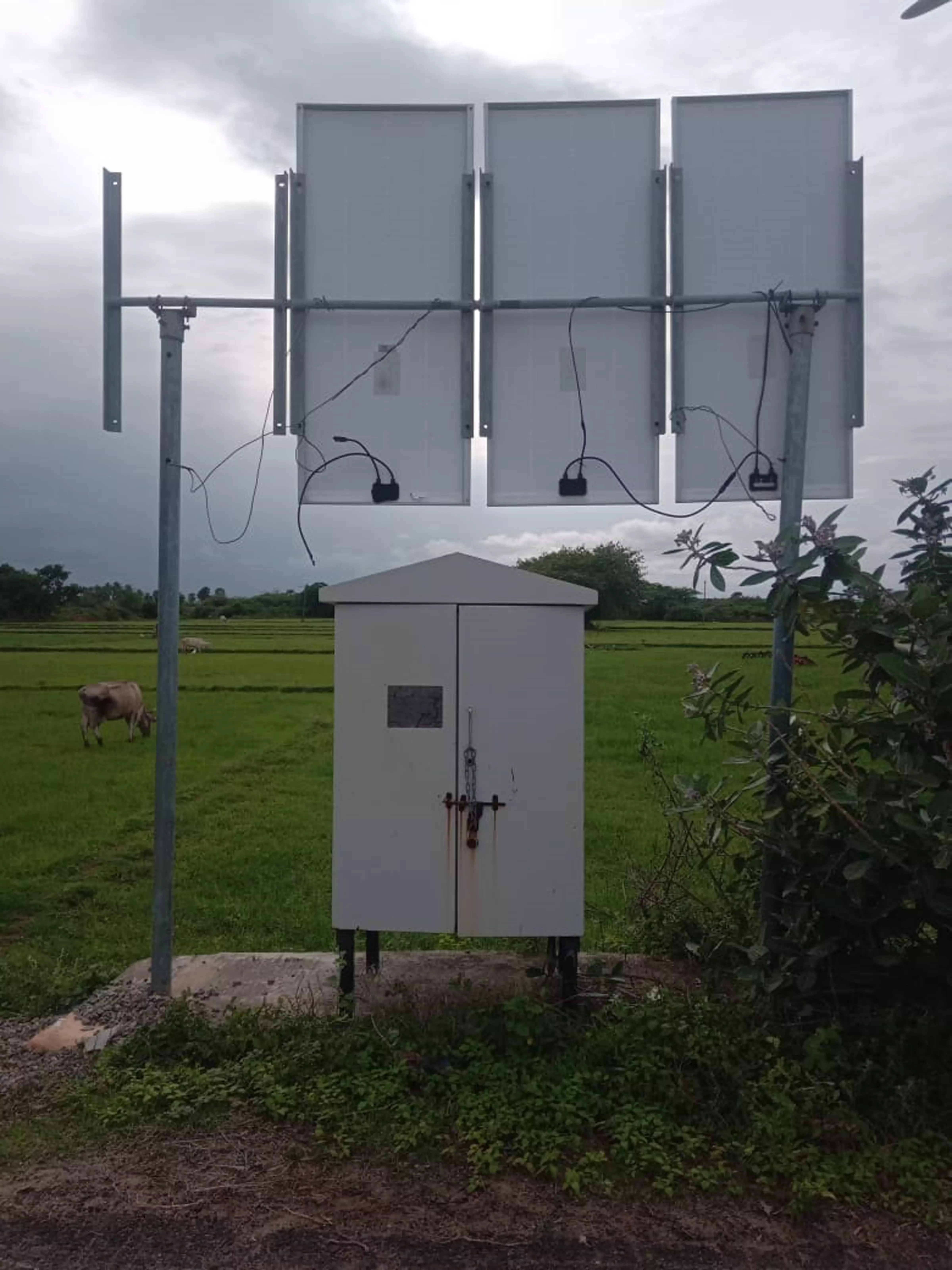 காட்சிப்பொருளான சோலார் மின்விளக்குகள்