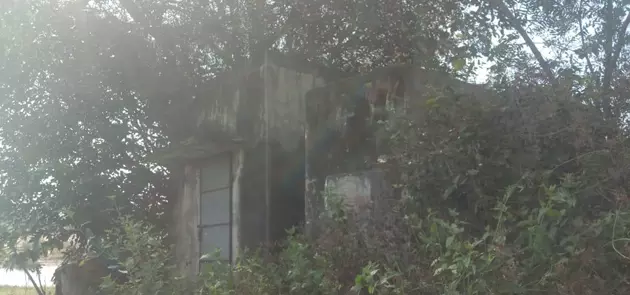 கிணற்றை தூர்வார வேண்டும் கிணற்றை தூர்வார வேண்டும்