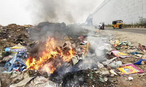 குப்பைகளுக்கு தீ வைப்பு குப்பைகளுக்கு தீ வைப்பு