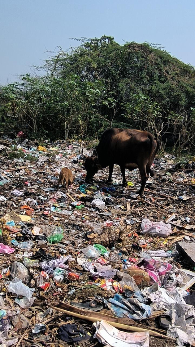 குப்பைகள் கொட்டுவதை தடுப்பார்களா? குப்பைகள் கொட்டுவதை தடுப்பார்களா?