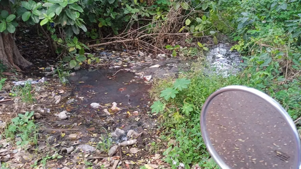 நோய் தொற்று பரவும் அபாயம்