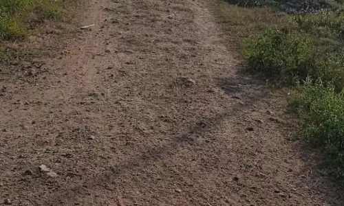 குண்டும் குழியுமான சாலை குண்டும் குழியுமான சாலை