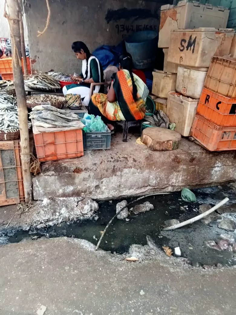 மீன் மார்க்கெட்டில் சுகாதாரக்கேடு மீன் மார்க்கெட்டில் சுகாதாரக்கேடு