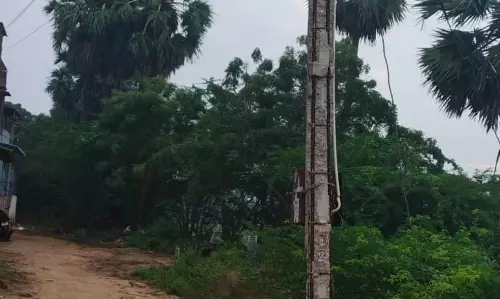 எலும்புக்கூடான மின்கம்பம்