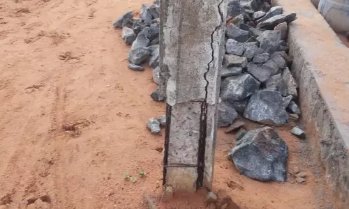 எலும்புக்கூடான மின்கம்பம்