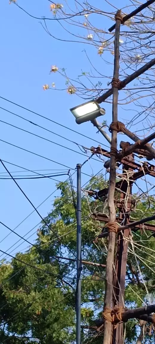 பகலில் ஒளிரும் தெருவிளக்குகள்