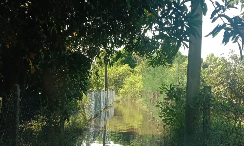 சாலை சீரமைக்கப்படுமா?