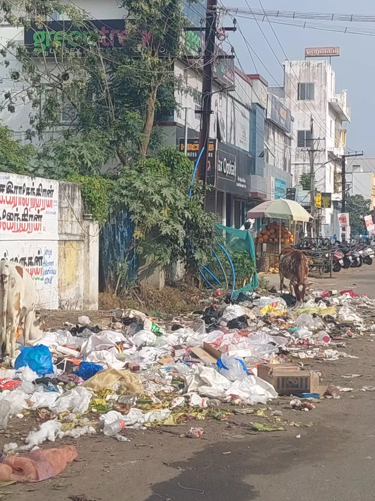 சாலையில் குப்பைகள்