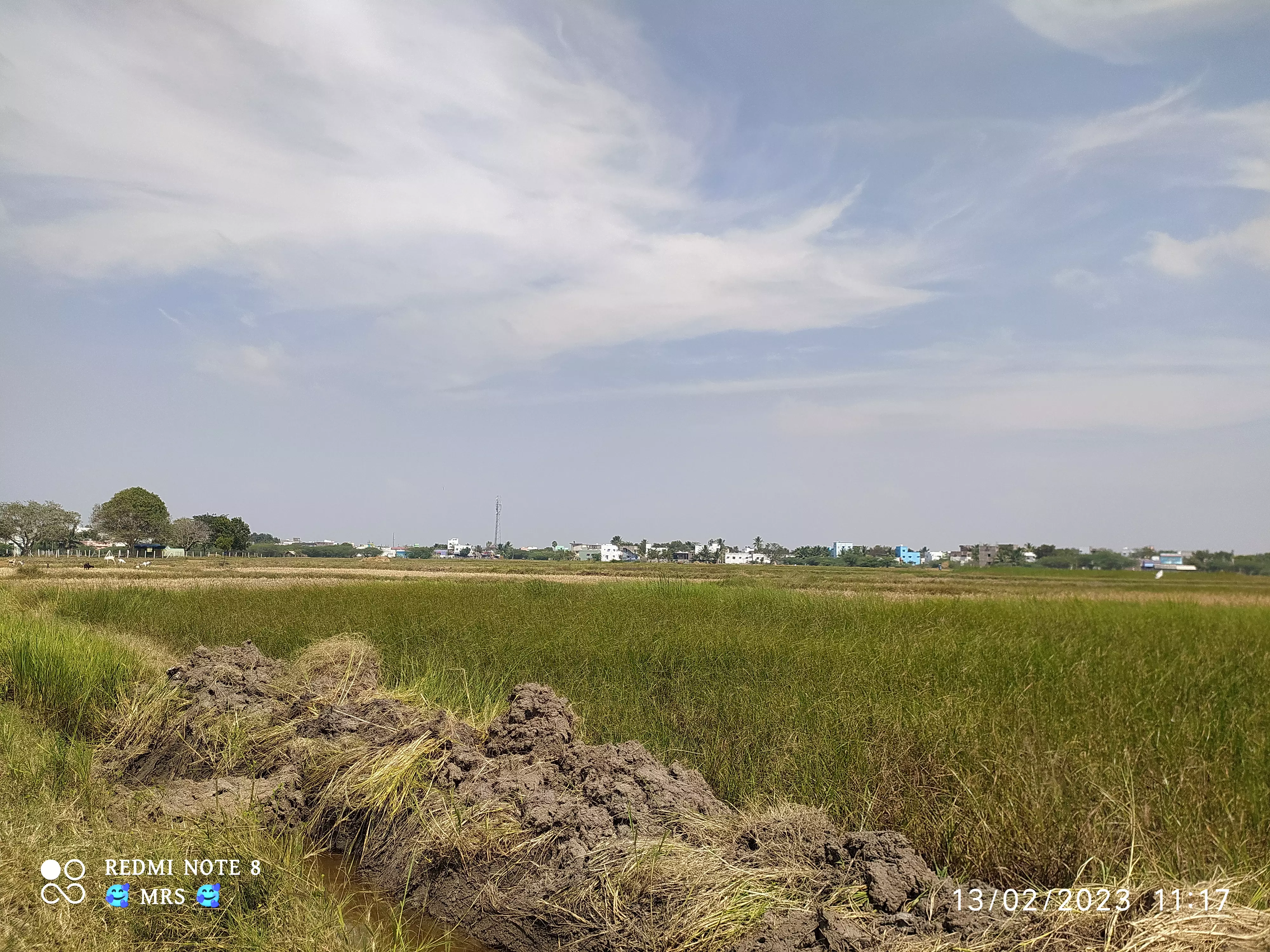 நடவடிக்கை தேவை நடவடிக்கை தேவை