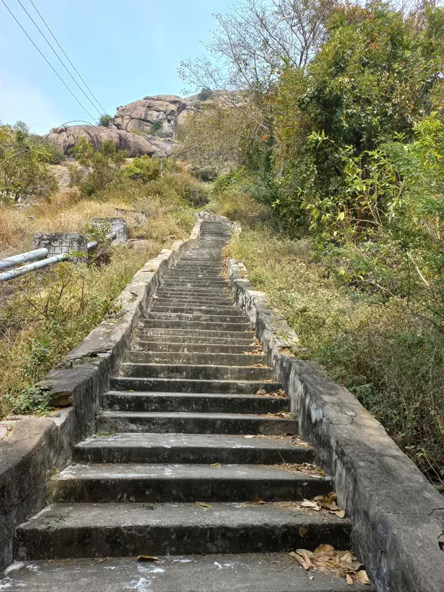 படிக்கட்டுகளை சரி செய்வார்களா? படிக்கட்டுகளை சரி செய்வார்களா?