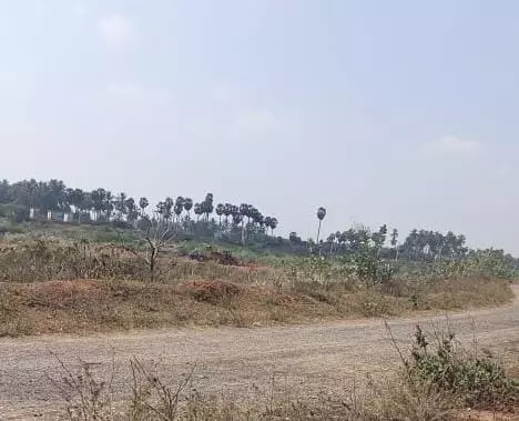 மணல் கடத்தல் தடுக்கப்படுமா?