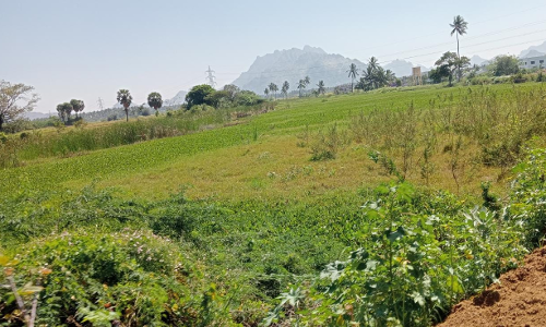 குளத்தை தூர்வார வேண்டும்