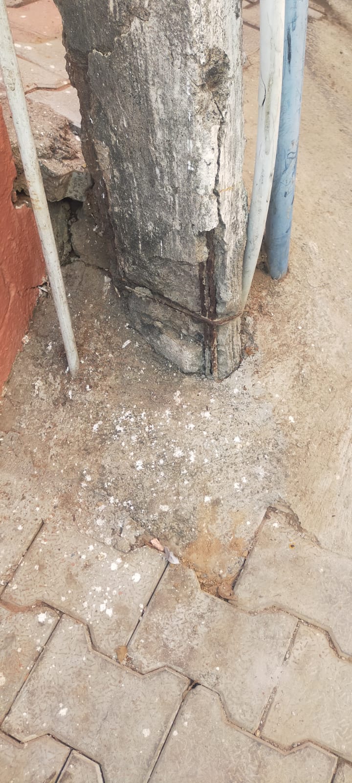 ஆபத்தான மின் கம்பம்