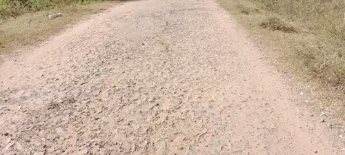 குண்டும், குழியுமான சாலை குண்டும், குழியுமான சாலை