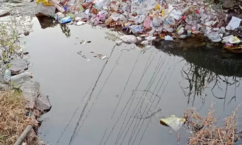 தரைப்பாலம் அமைக்கப்படுமா?