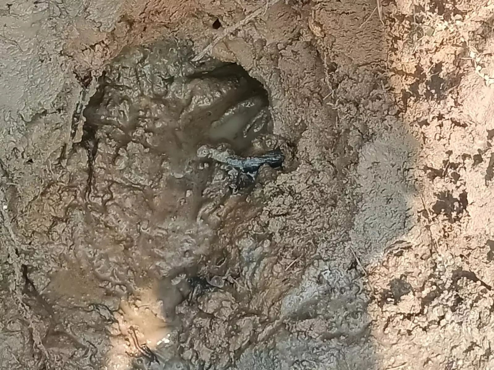 கூட்டுக்குடிநீர் திட்ட குழாய் உடைப்பால் சேதமடைந்த நெல் வயல்கள்