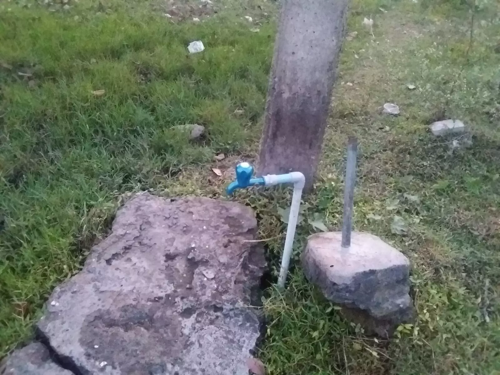 தினத்தந்திக்கு நன்றி தினத்தந்திக்கு நன்றி