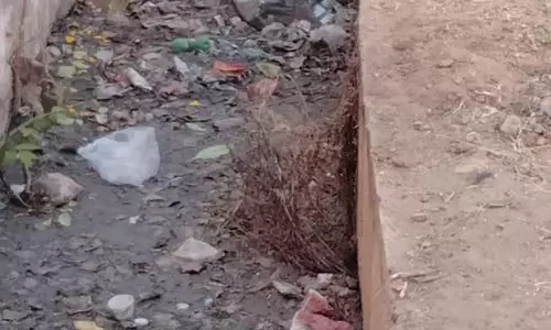 கால்வாய்களை தூர்வார வேண்டும் கால்வாய்களை தூர்வார வேண்டும்