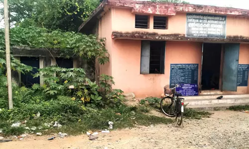 புதர்களை அகற்றுவார்களா?