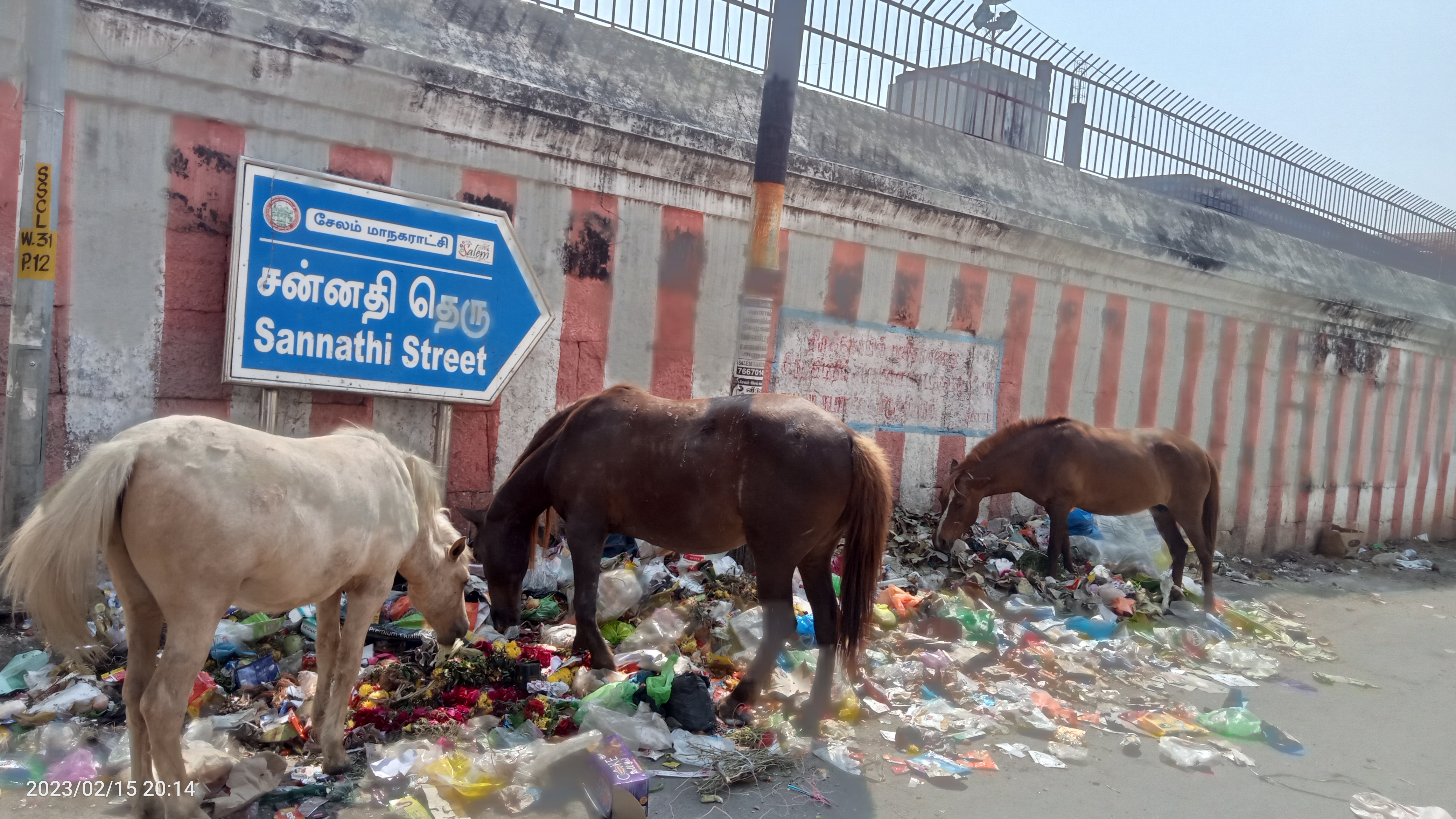 குப்பைகளை அகற்ற வேண்டும்
