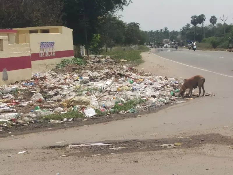 குப்பைகளால் சுகாதார சீர்கேடு குப்பைகளால் சுகாதார சீர்கேடு