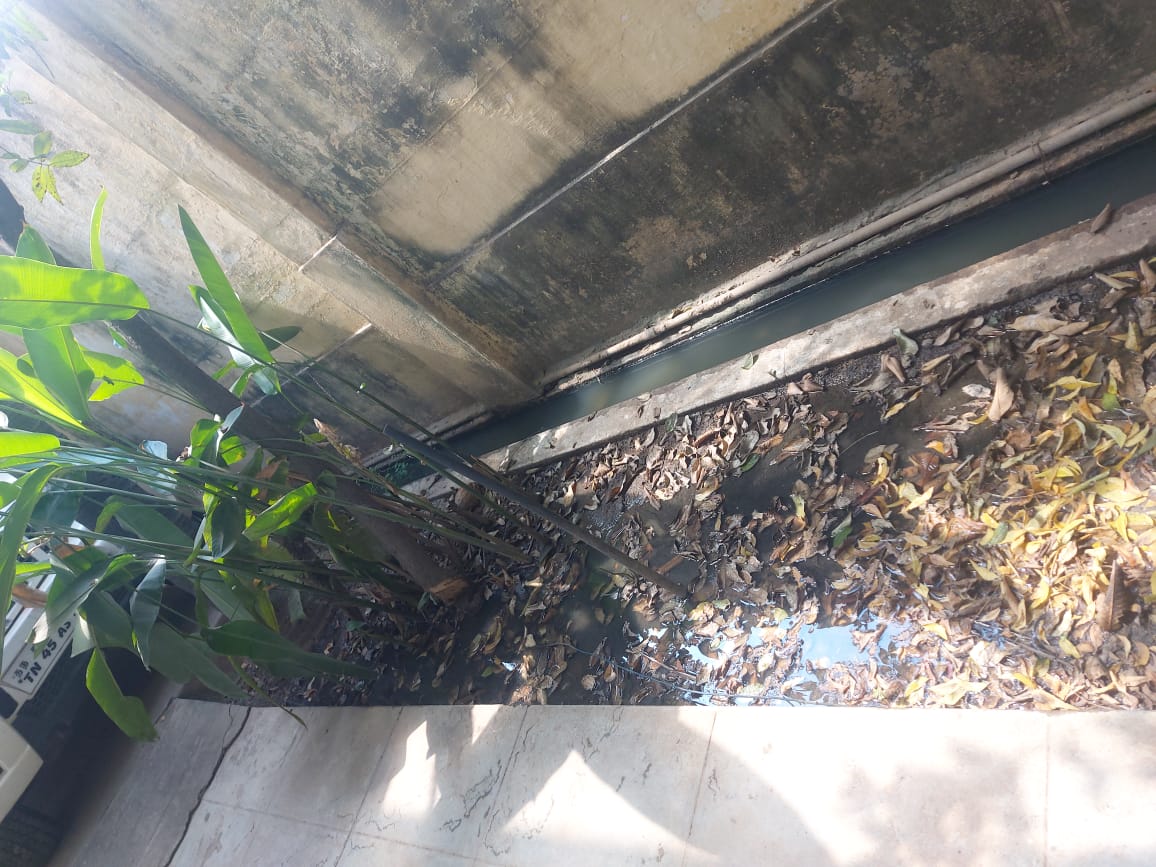 குடியிருப்பில் புகும் கழிவுநீர்