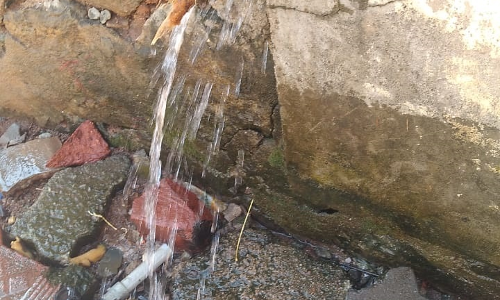 நல்லி மாற்றப்பட்டது