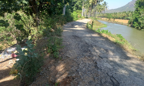 நடவடிக்கை தேவை