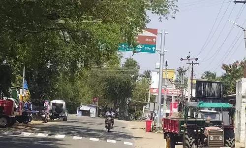 வழிகாட்டு பலகைகளை மறைக்கும் மரக்கிளைகள்
