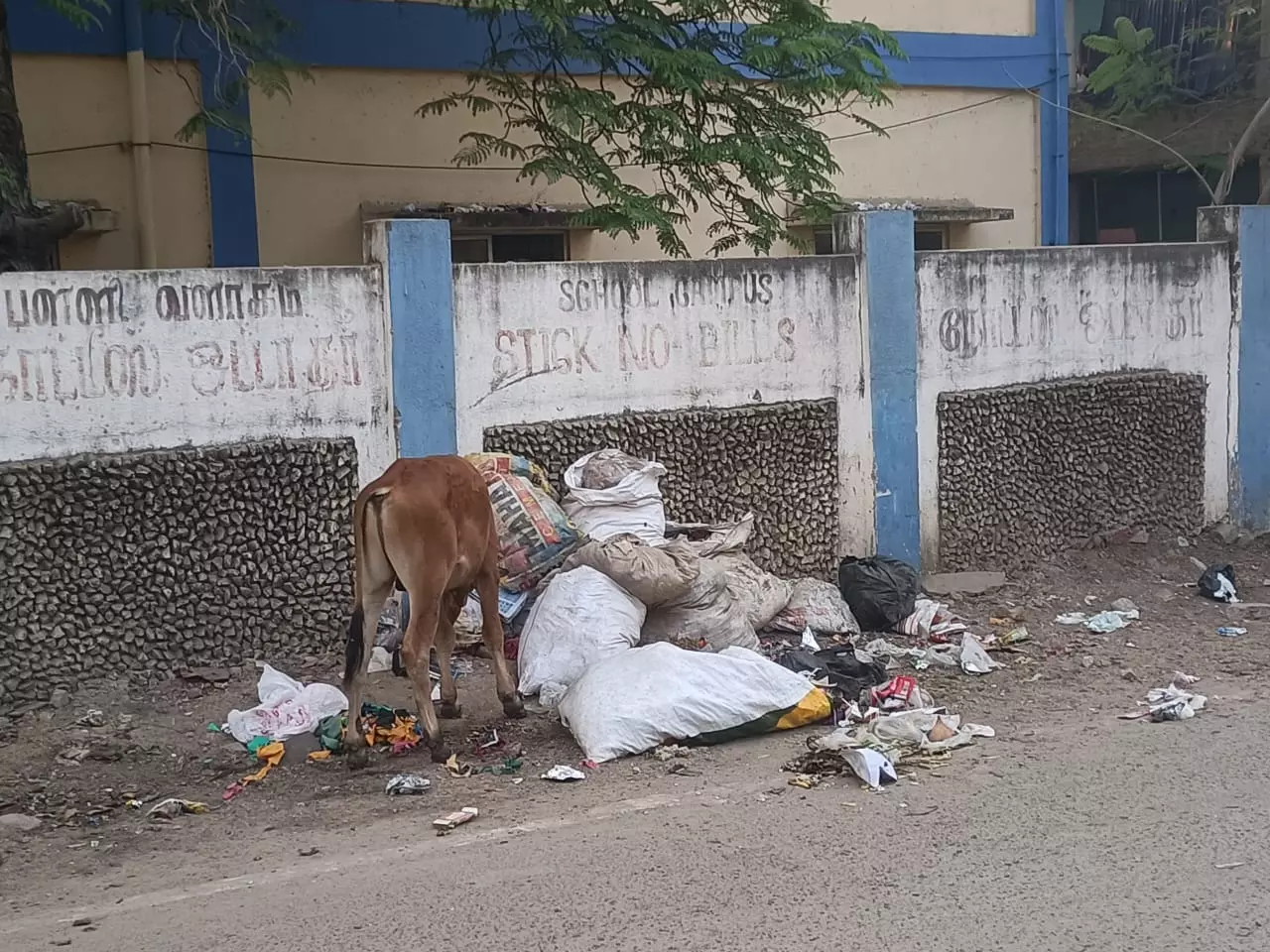 அகற்றப்படாத குப்பைகள்