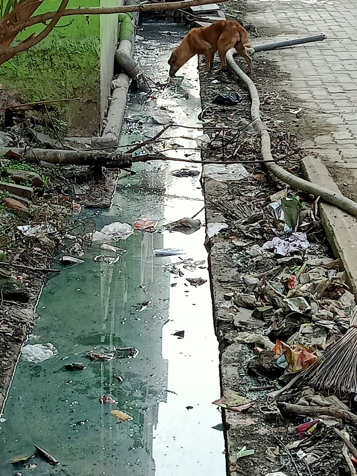 சுகாதார சீர்கேடு