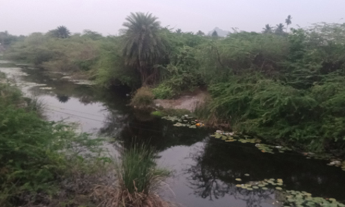 ஆற்றில் கழிவுநீர் கலப்பு