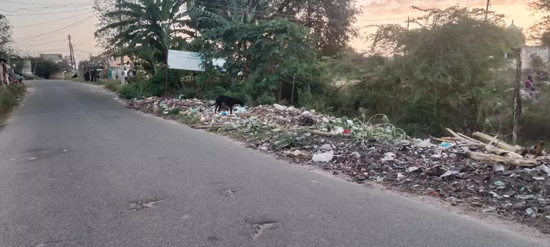 சாலையோரம் கொட்டப்படும் குப்பைகள் சாலையோரம் கொட்டப்படும் குப்பைகள்