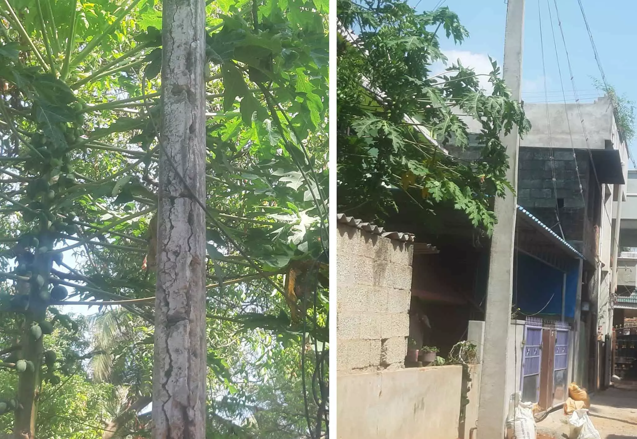 மாற்றப்பட்டது