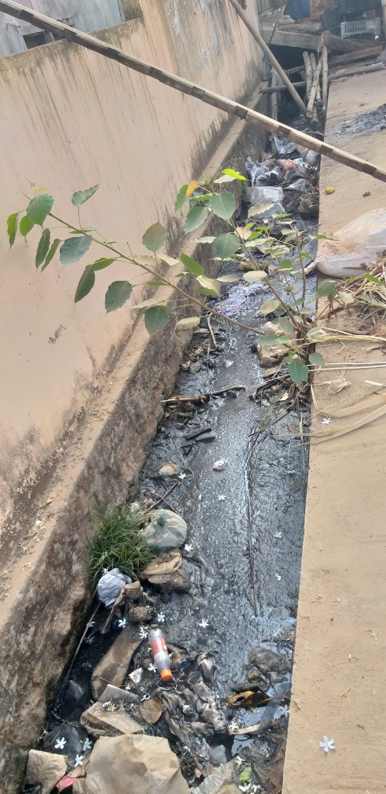 சுகாதார சீர்கேடு சுகாதார சீர்கேடு