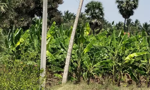 புகாருக்கு உடனடி தீர்வு