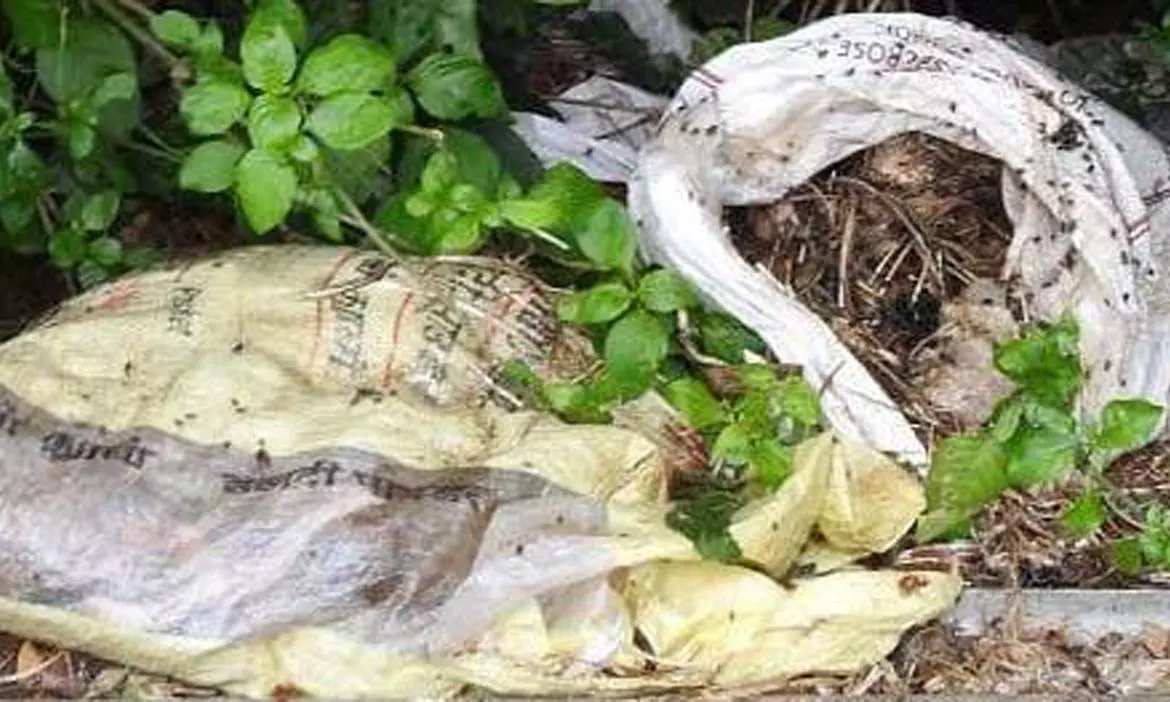 குட்டையில் இறைச்சிக்கழிவுகள்