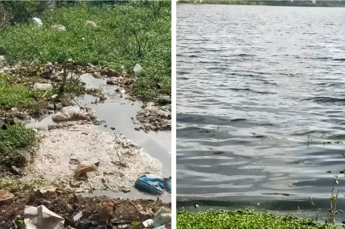 ஏரி தூர்வாரப்படுமா?