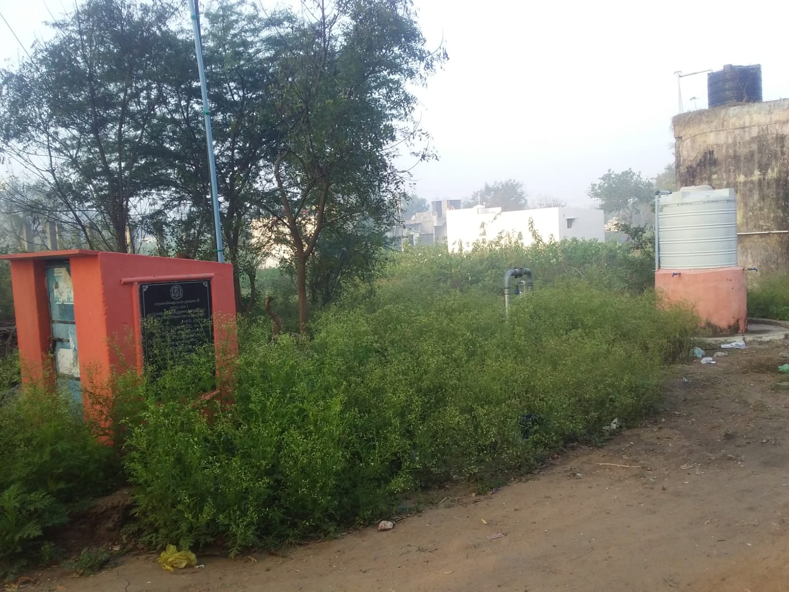 செடி, கொடிகள் அகற்றப்படுமா? செடி, கொடிகள் அகற்றப்படுமா?