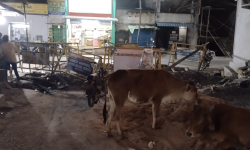 பாலம் கட்டும் பணியால் மக்கள் அவதி