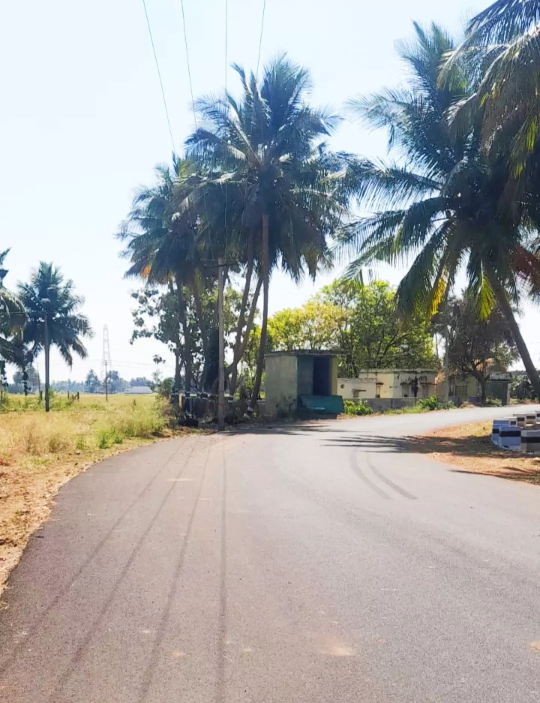 விபத்துகள் தடுக்கப்படுமா? விபத்துகள் தடுக்கப்படுமா?