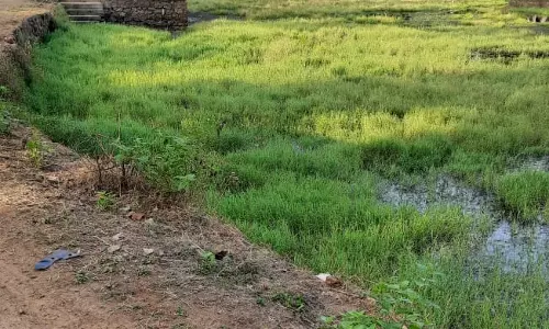 தூர்வார வேண்டும்