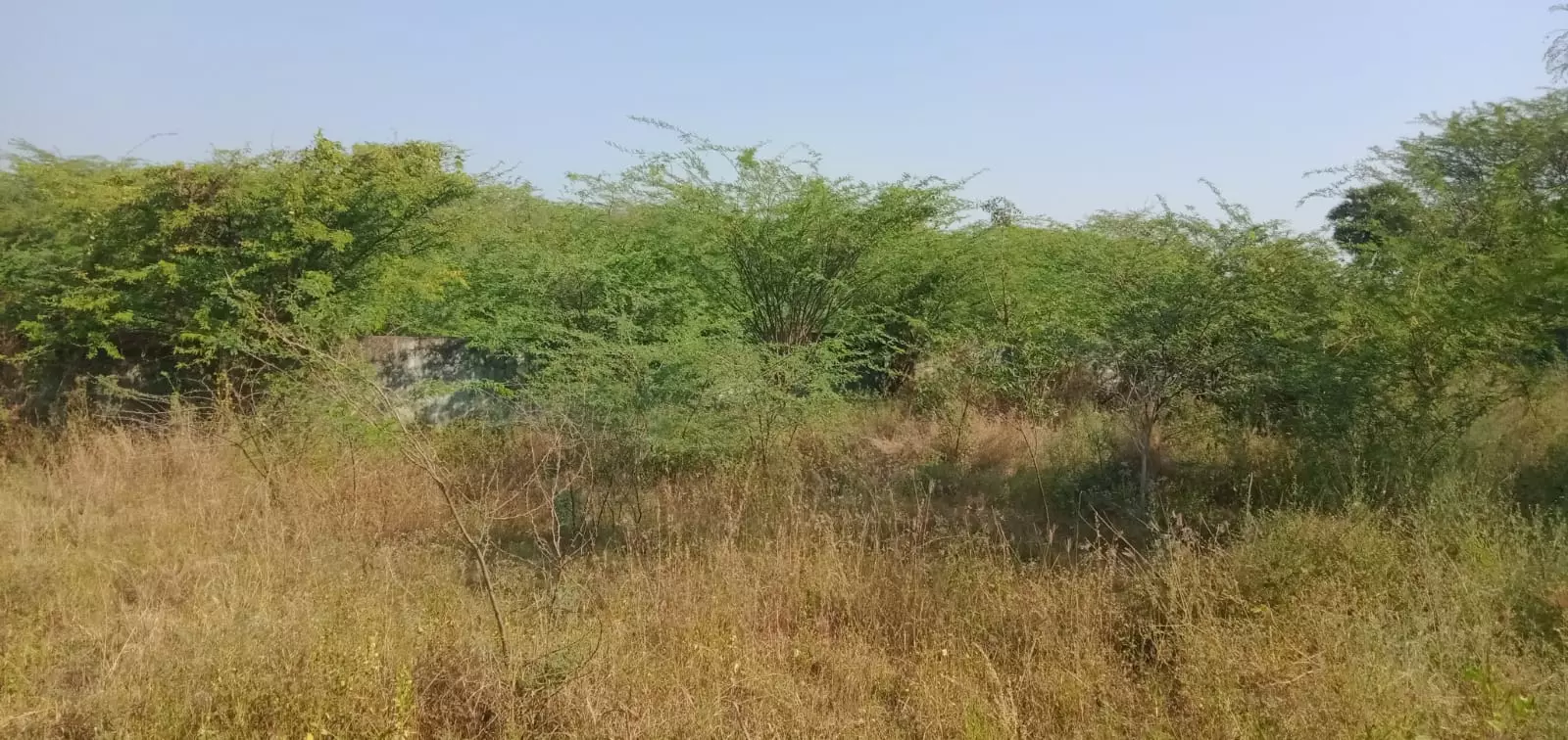 மாணவர்கள் அச்சம்