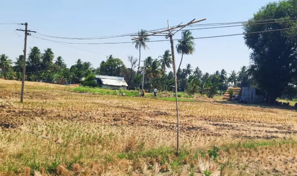 தாழ்வாக செல்லும் மின்கம்பிகள் தாழ்வாக செல்லும் மின்கம்பிகள்